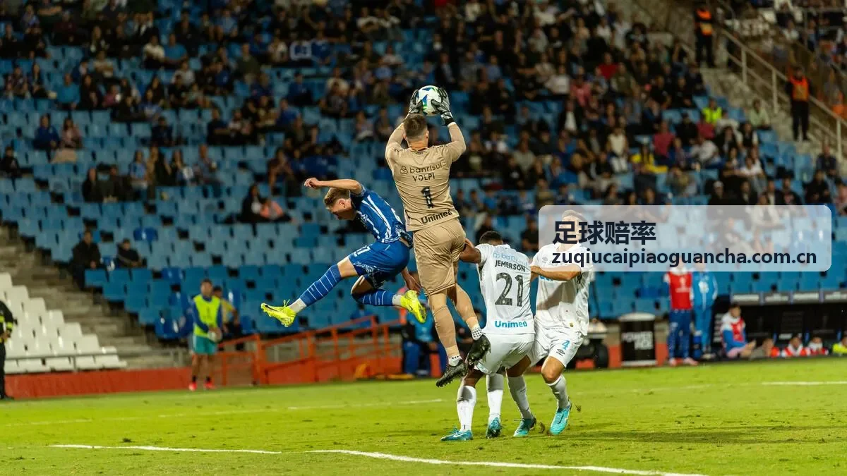 大小球赔率解读