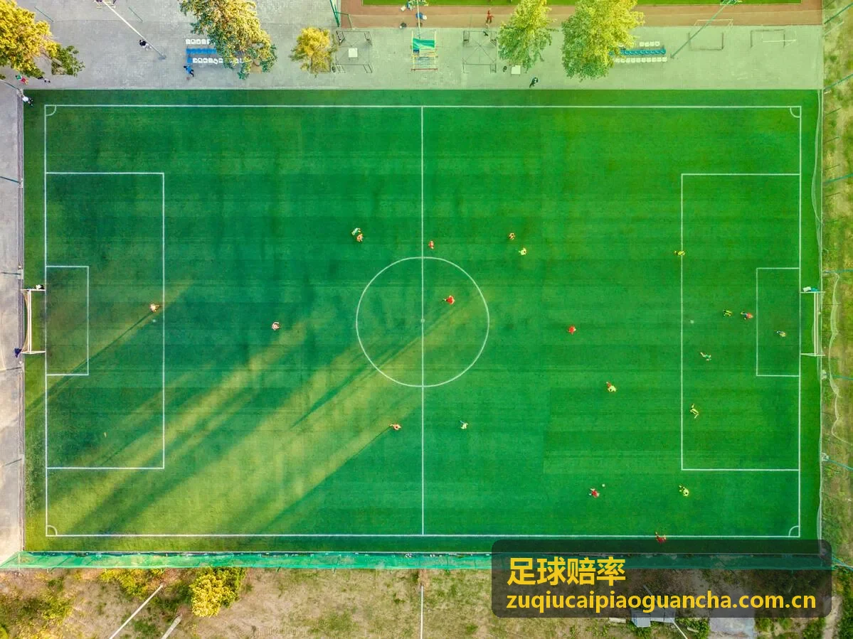 德甲意甲法甲赔率走势特色分析